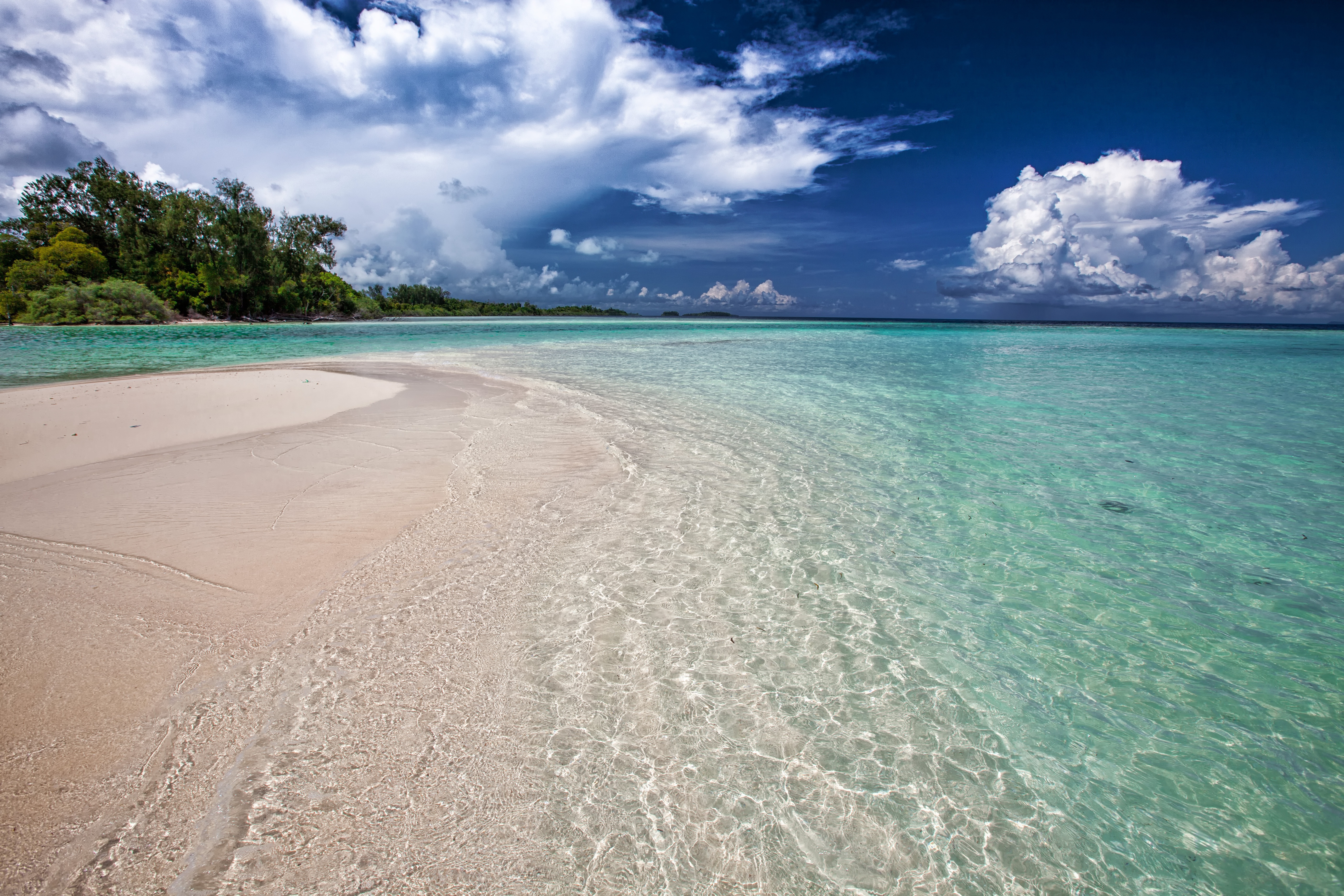 white-sand-beach-2252020.jpg